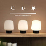 Ambience Lamp Intelligent+ med Oslo base i naturlig FSC-sertifisert eik, størrelse 5, innendørs belysning.