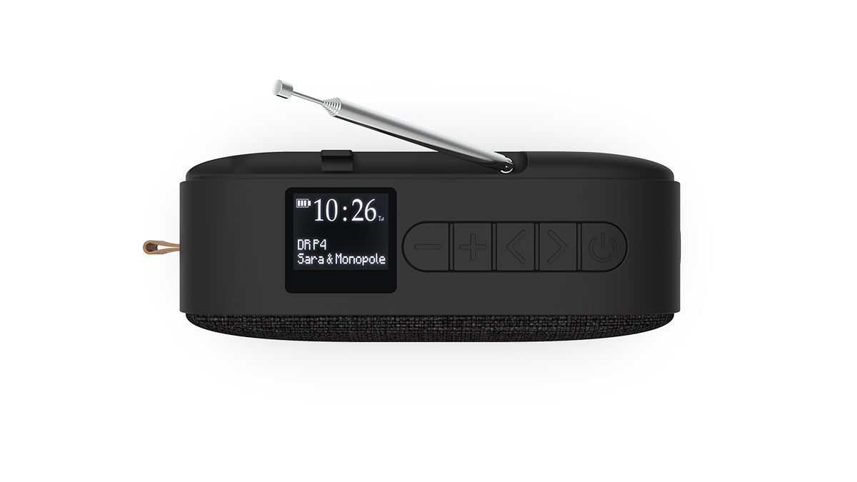 Go 300 - Oppladbar Bluetooth-høyttaler med FM/DAB+ radio