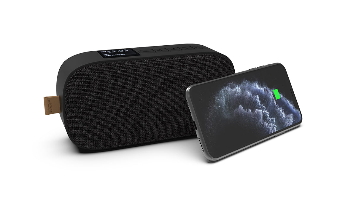 Go 300 - Oppladbar Bluetooth-høyttaler med FM/DAB+ radio