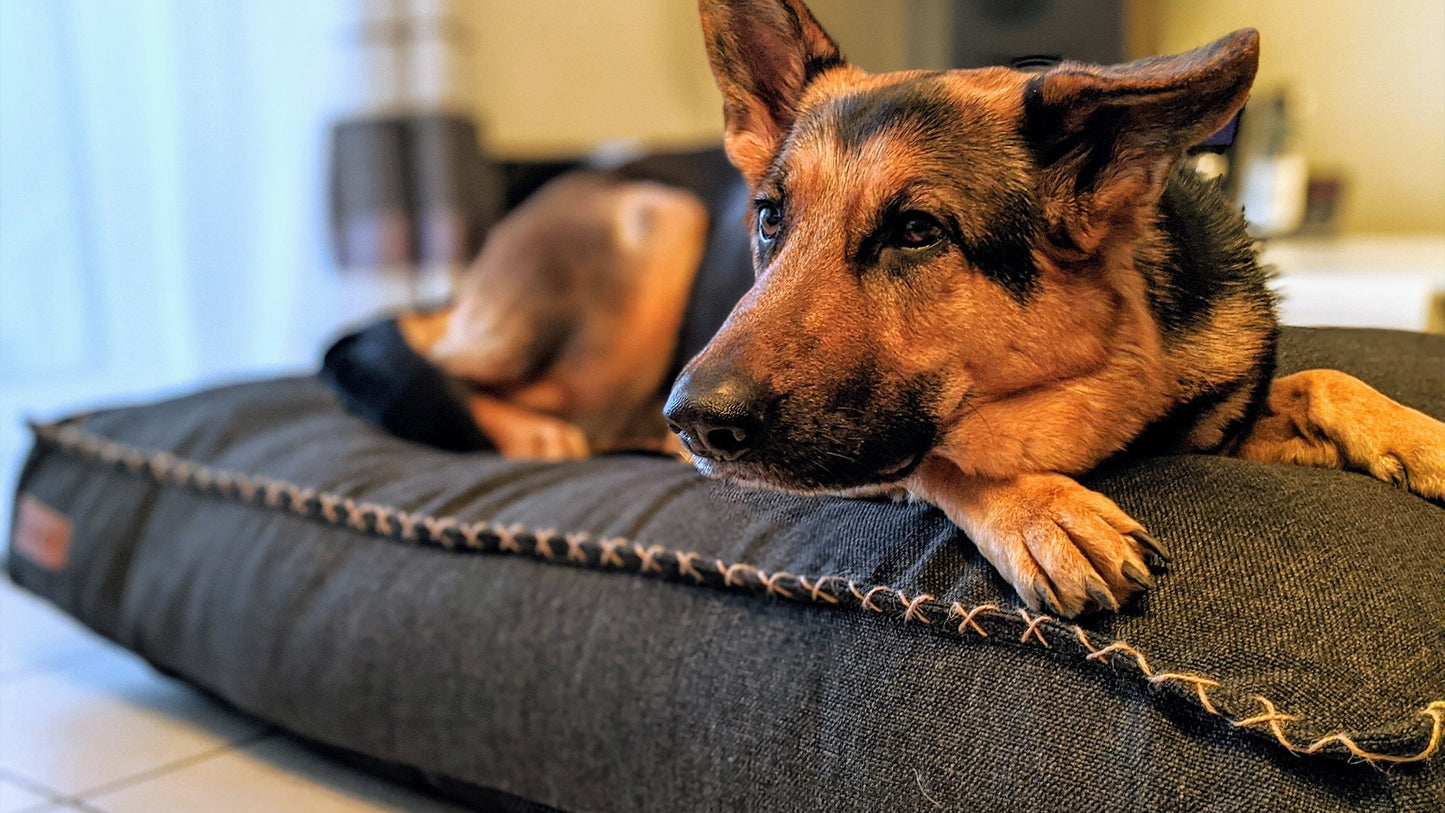 Dog bed - Eksklusiv hundepute i sterke materialer