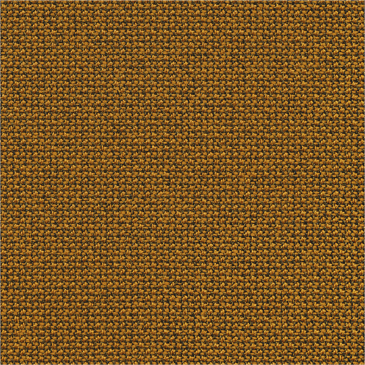 Cura/Medley Fabric Sample