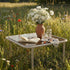 Taupe Mollis Coffee Table med pulverlakkert aluminiumsramme og røykfarget herdet glass, utendørs bruk.